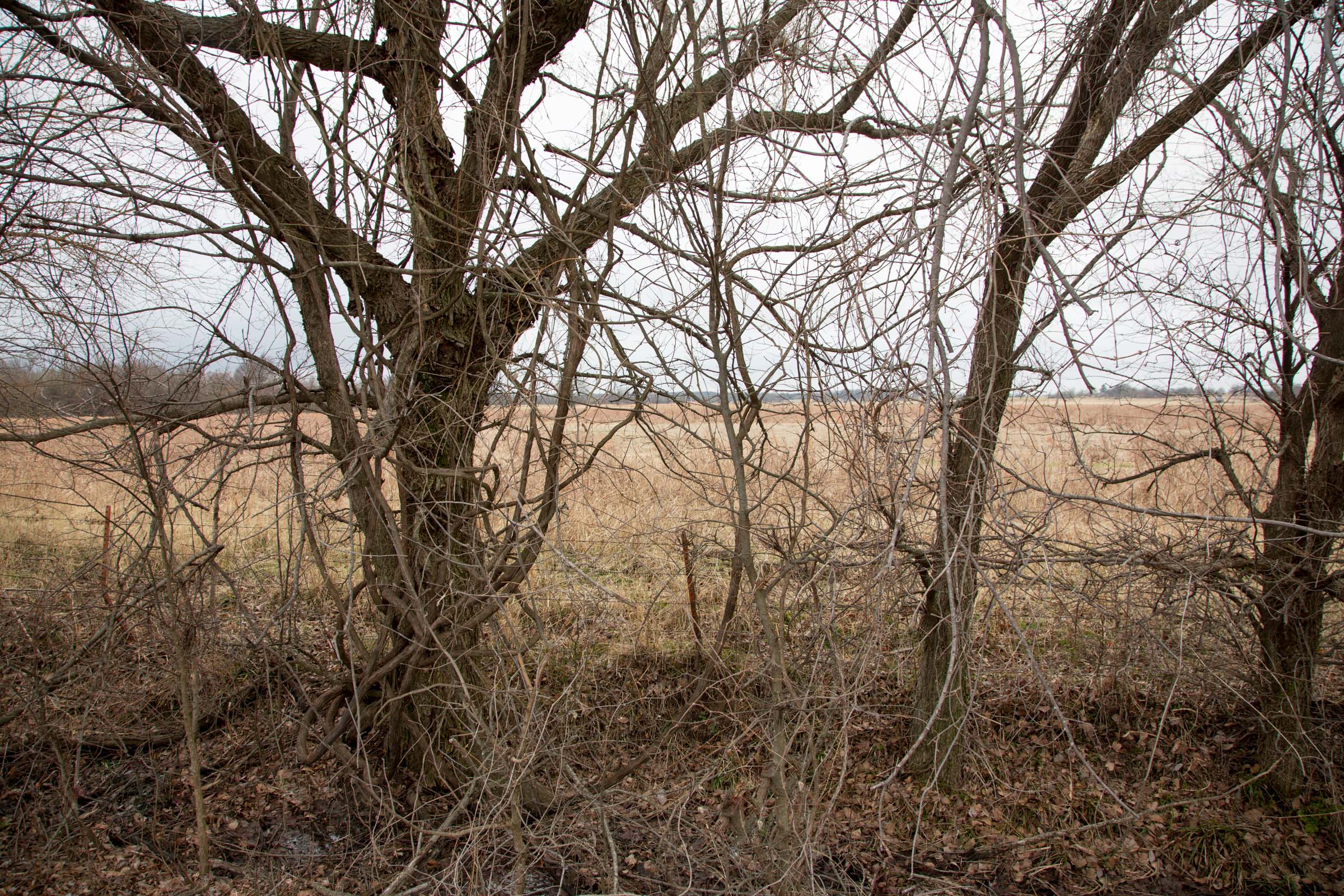 Tract 10 at Canadian Plains in Pittsburg County, Oklahoma