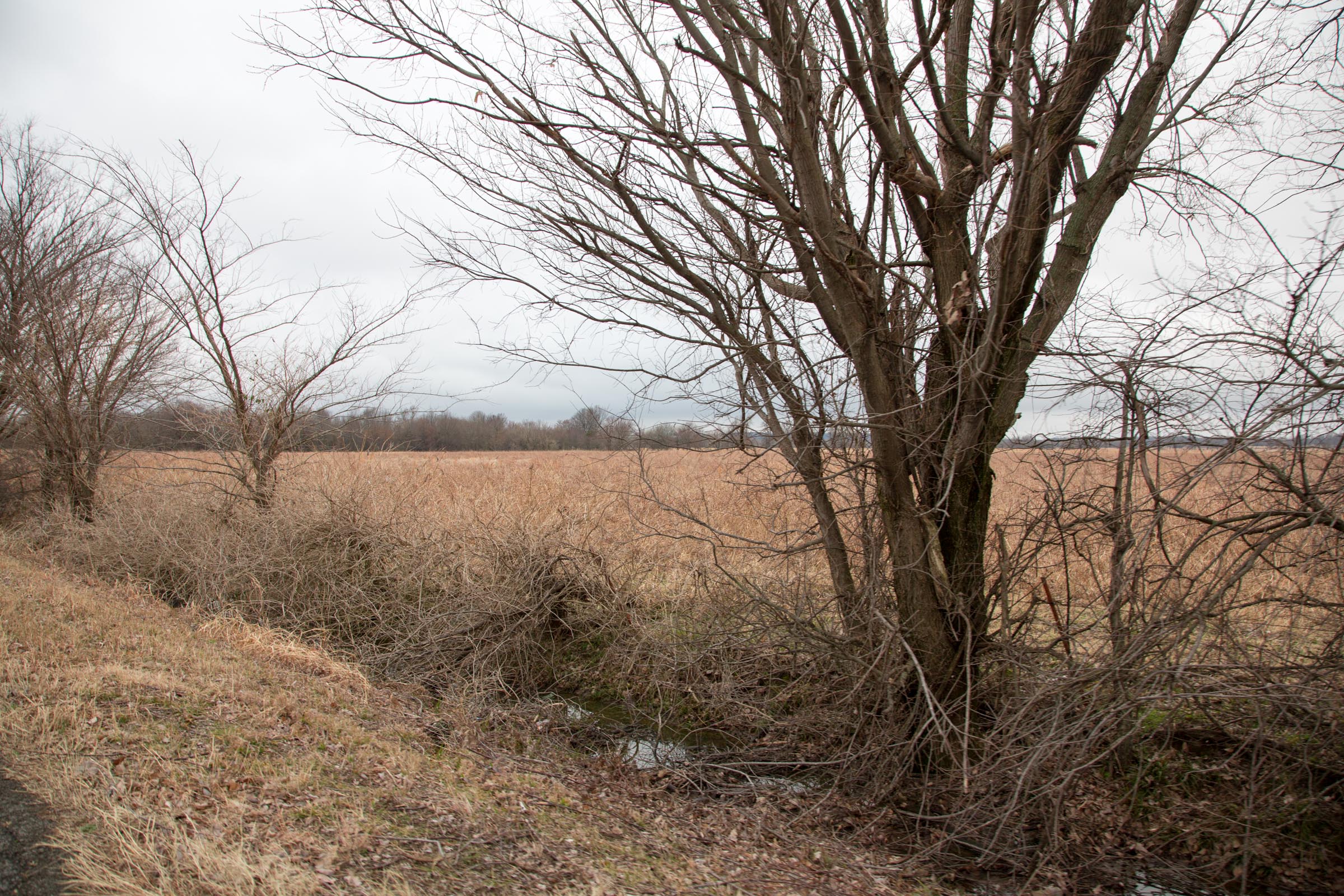 Tract 11 at Canadian Plains in Pittsburg County, Oklahoma