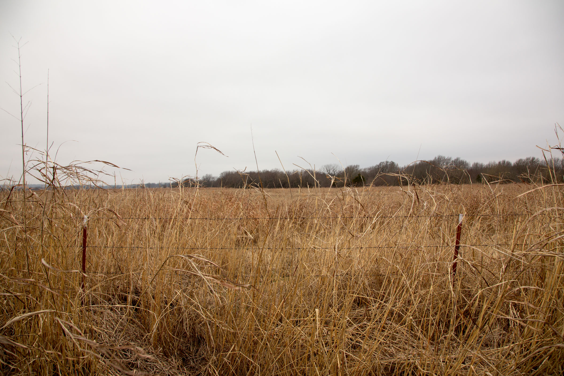 Tract 18 at Canadian Plains in Pittsburg County, Oklahoma