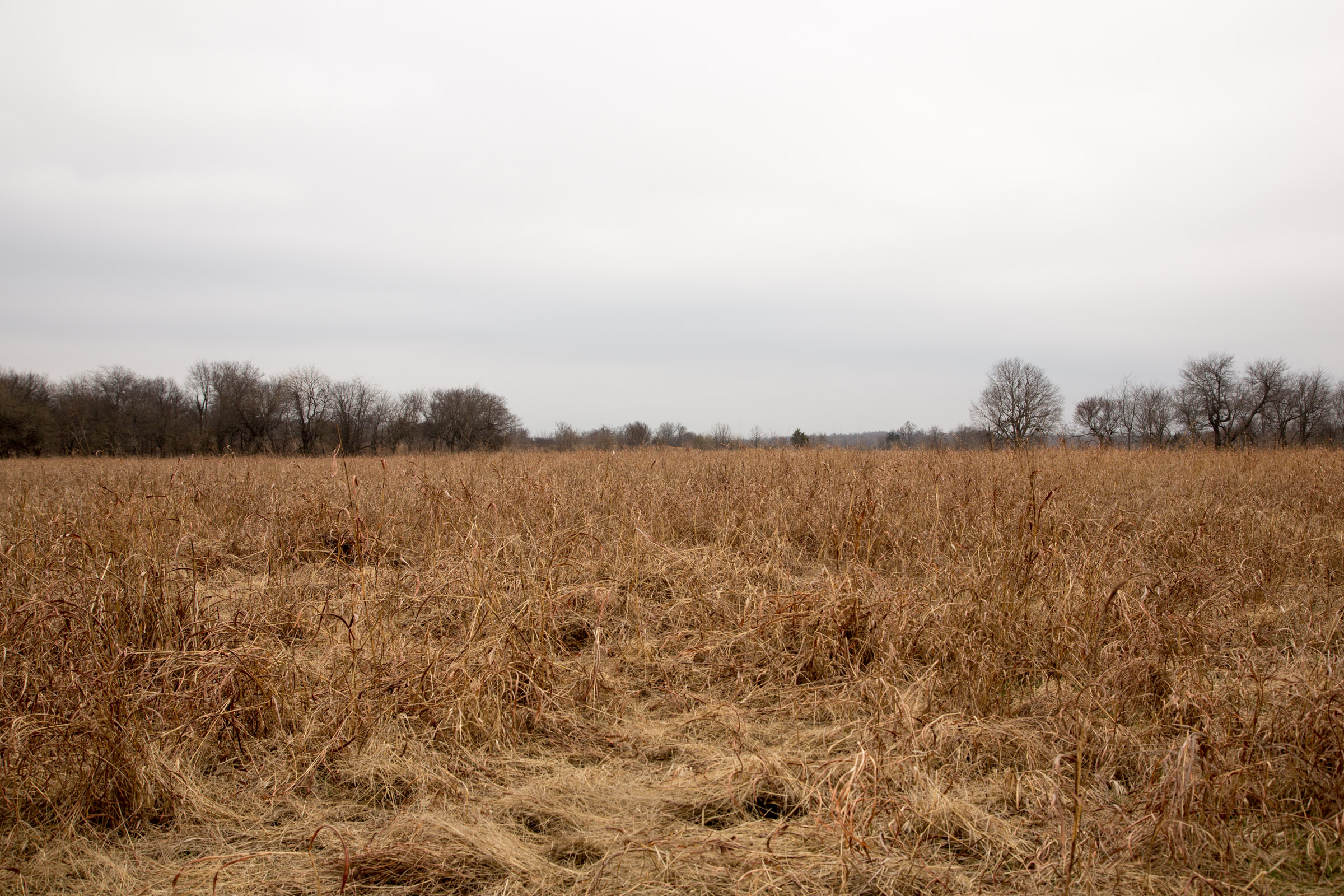 Tract 25 at Canadian Plains in Pittsburg County, Oklahoma