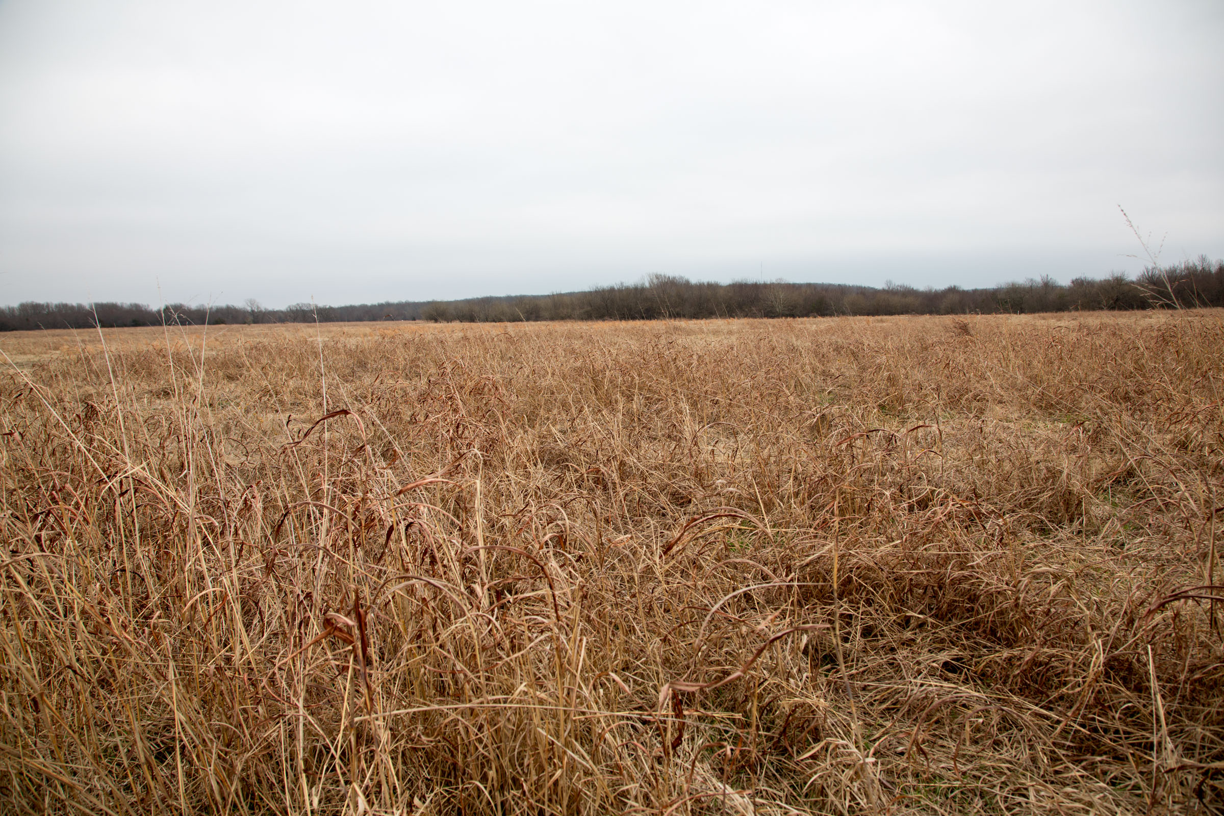 Tract 26 at Canadian Plains in Pittsburg County, Oklahoma