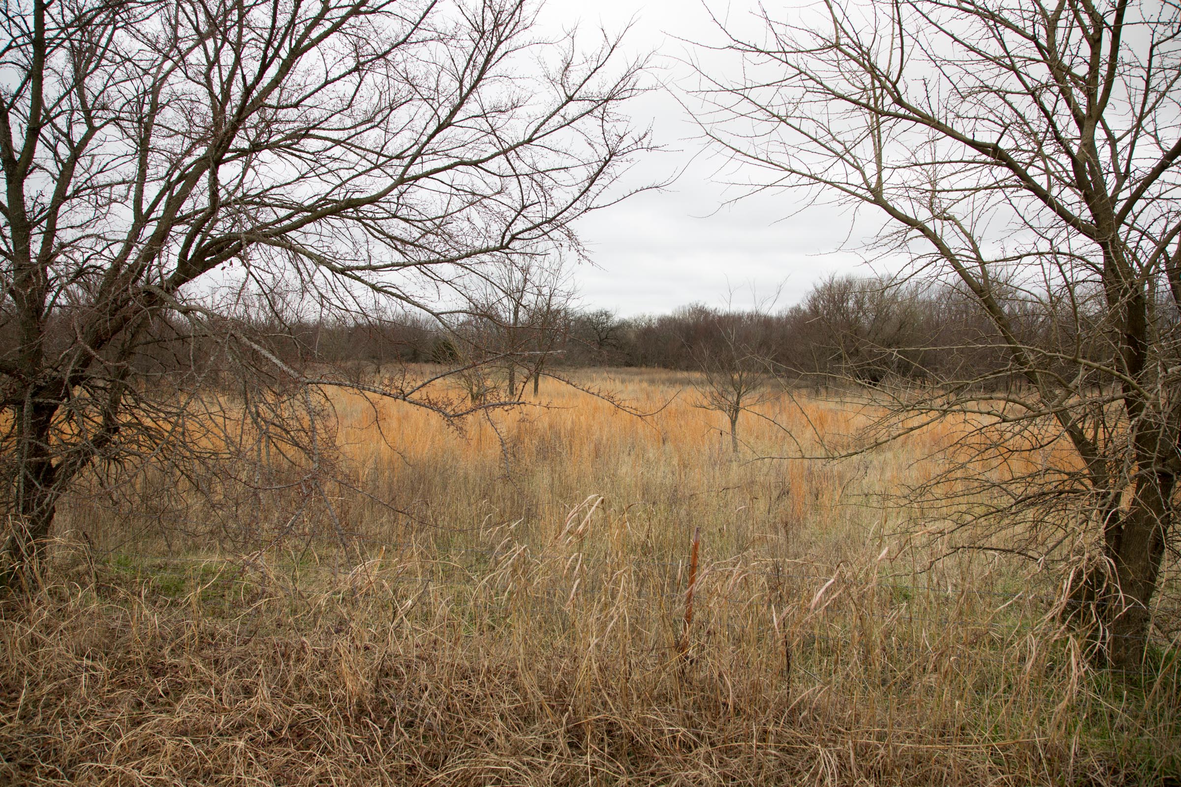 Tract 3 at Canadian Plains in Pittsburg County, Oklahoma