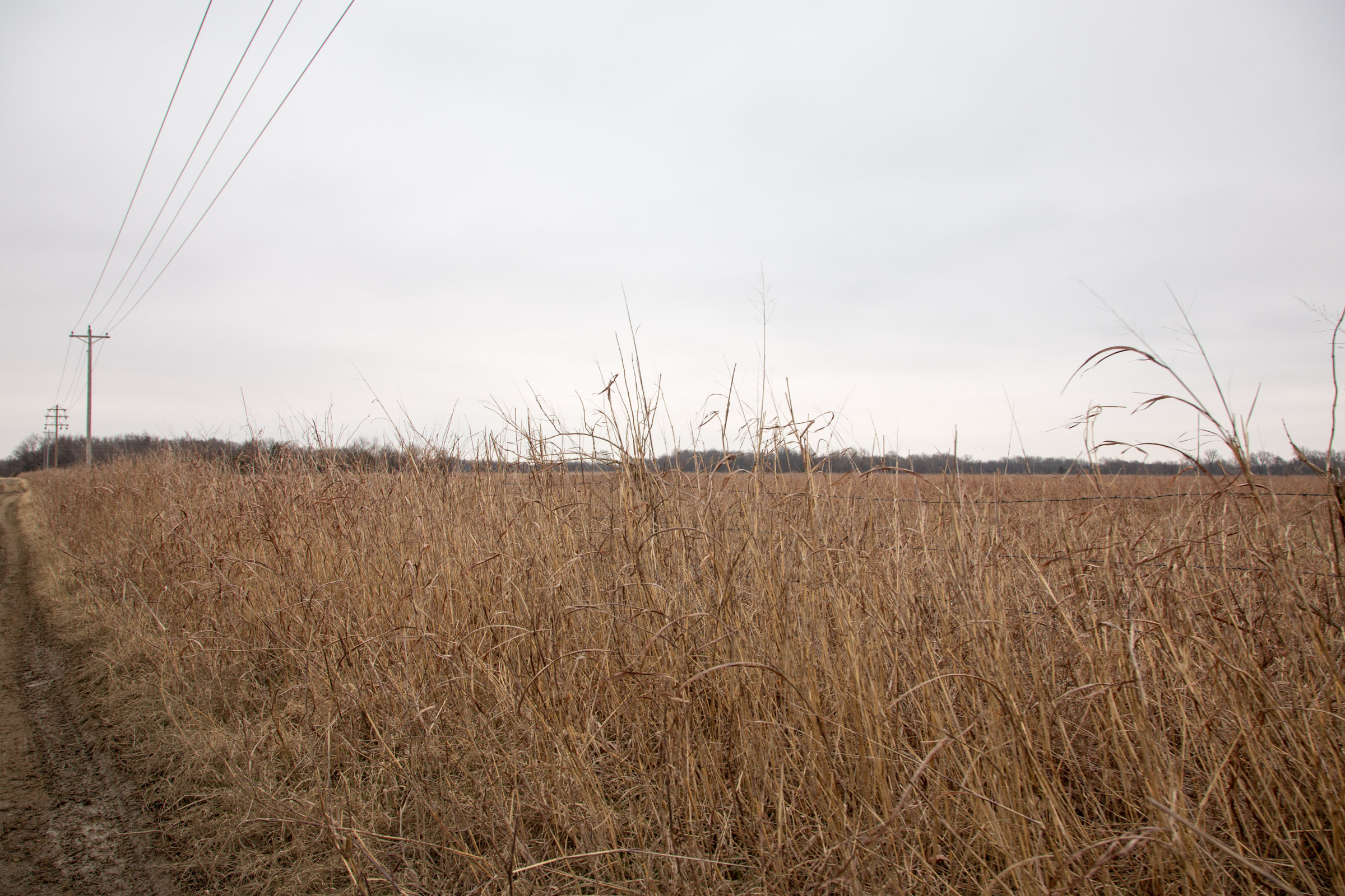 Tract 36 at Canadian Plains in Pittsburg County, Oklahoma