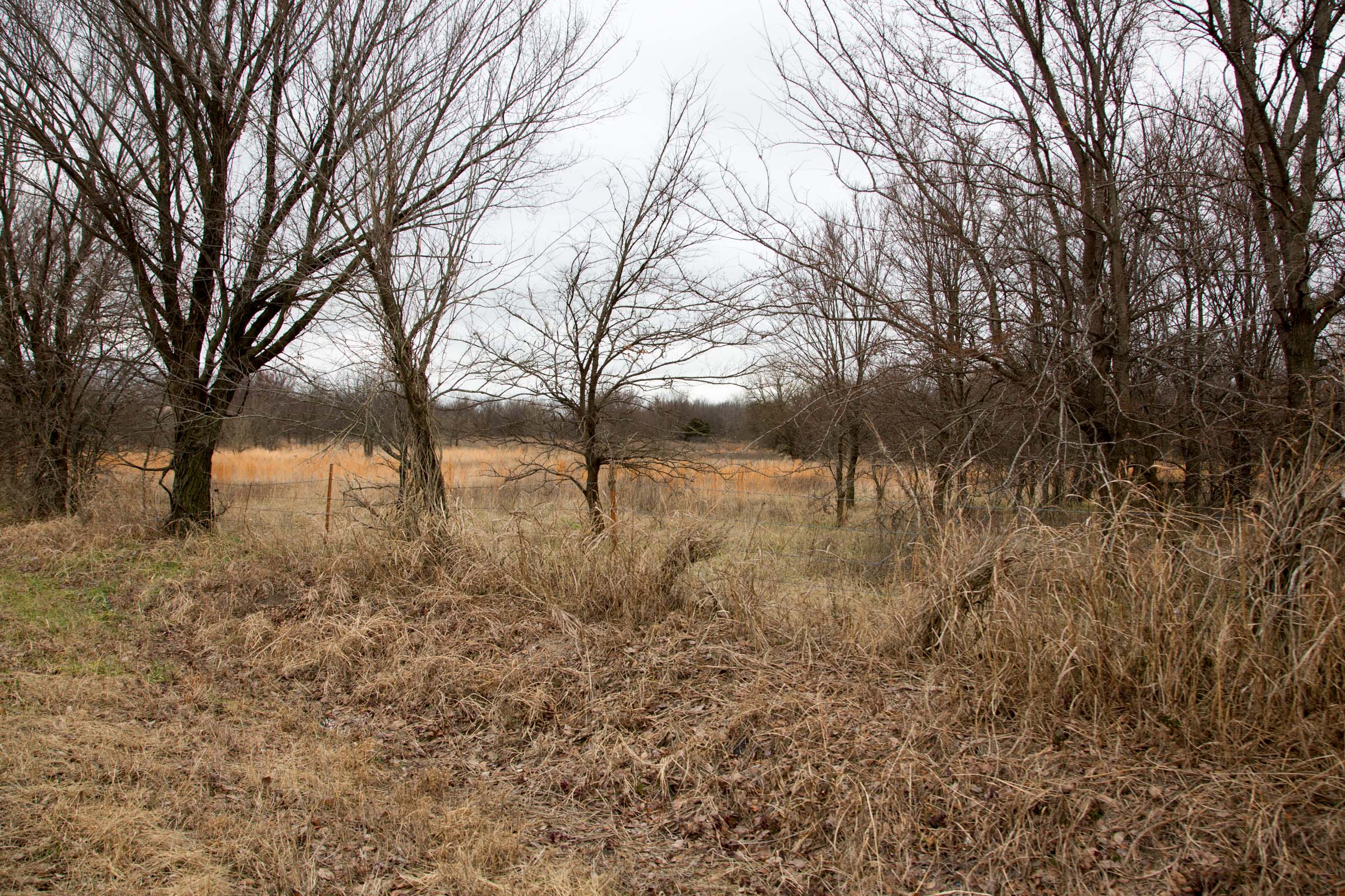 Tract 4 at Canadian Plains in Pittsburg County, Oklahoma