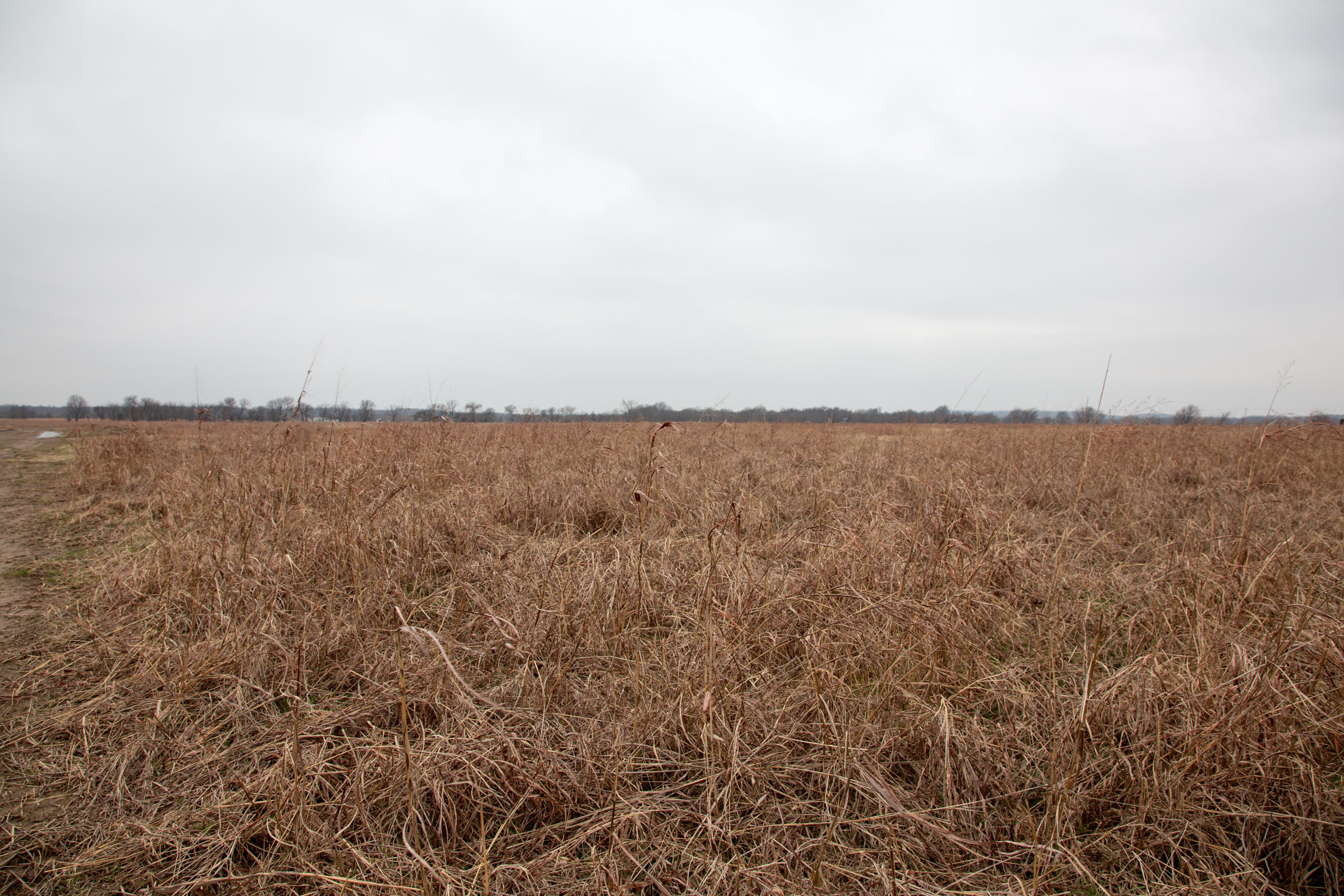 Tract 42 at Canadian Plains in Pittsburg County, Oklahoma
