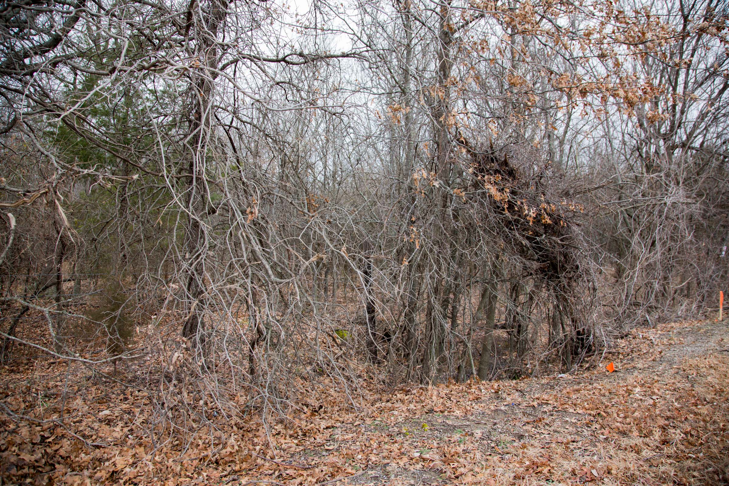 Tract 5 at Canadian Plains in Pittsburg County, Oklahoma