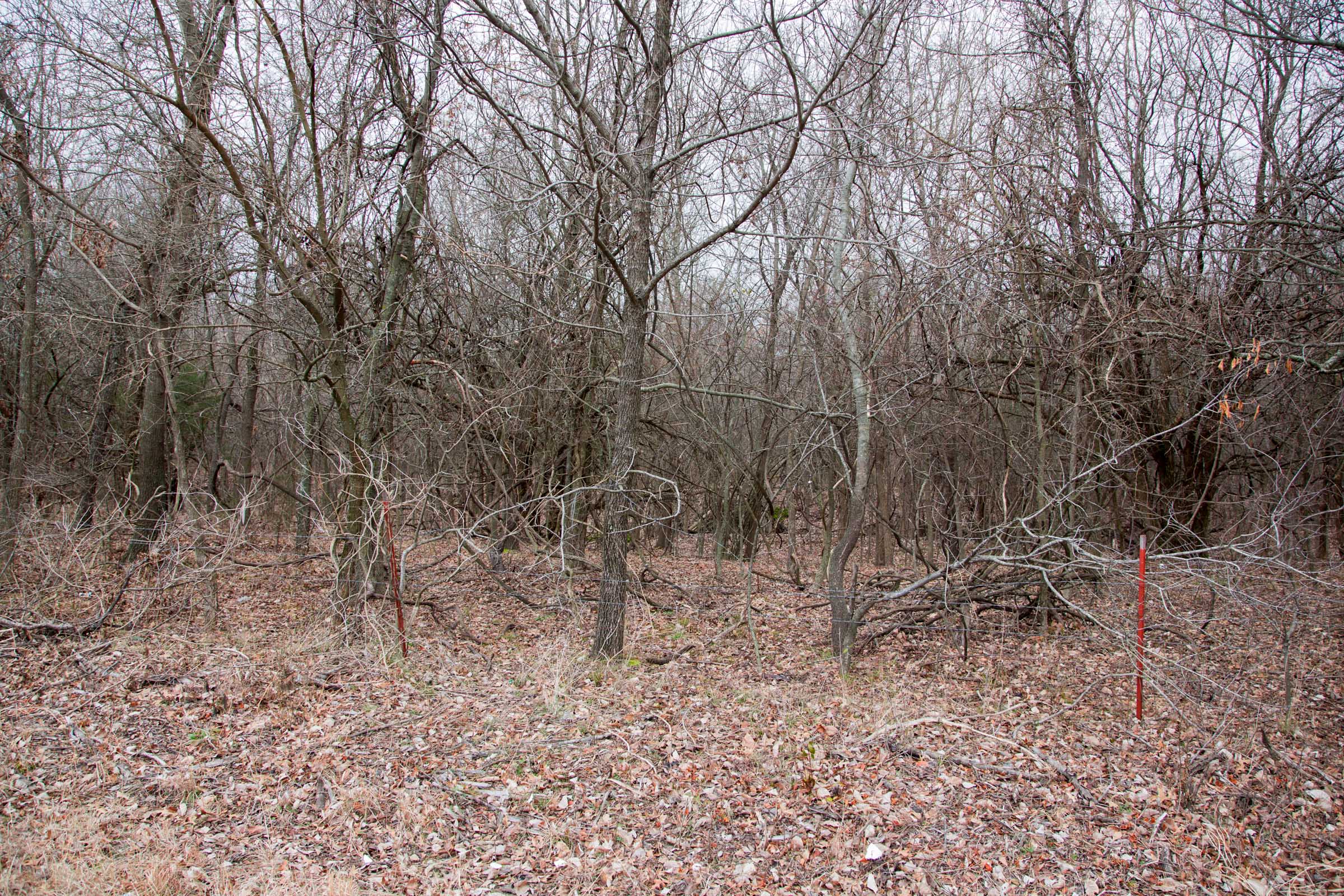 Tract 6 at Canadian Plains in Pittsburg County, Oklahoma