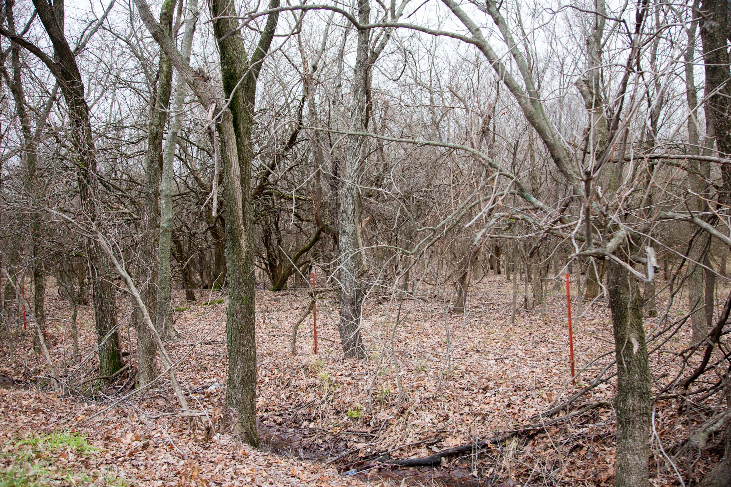 Tract 7 at Canadian Plains in Pittsburg County, Oklahoma